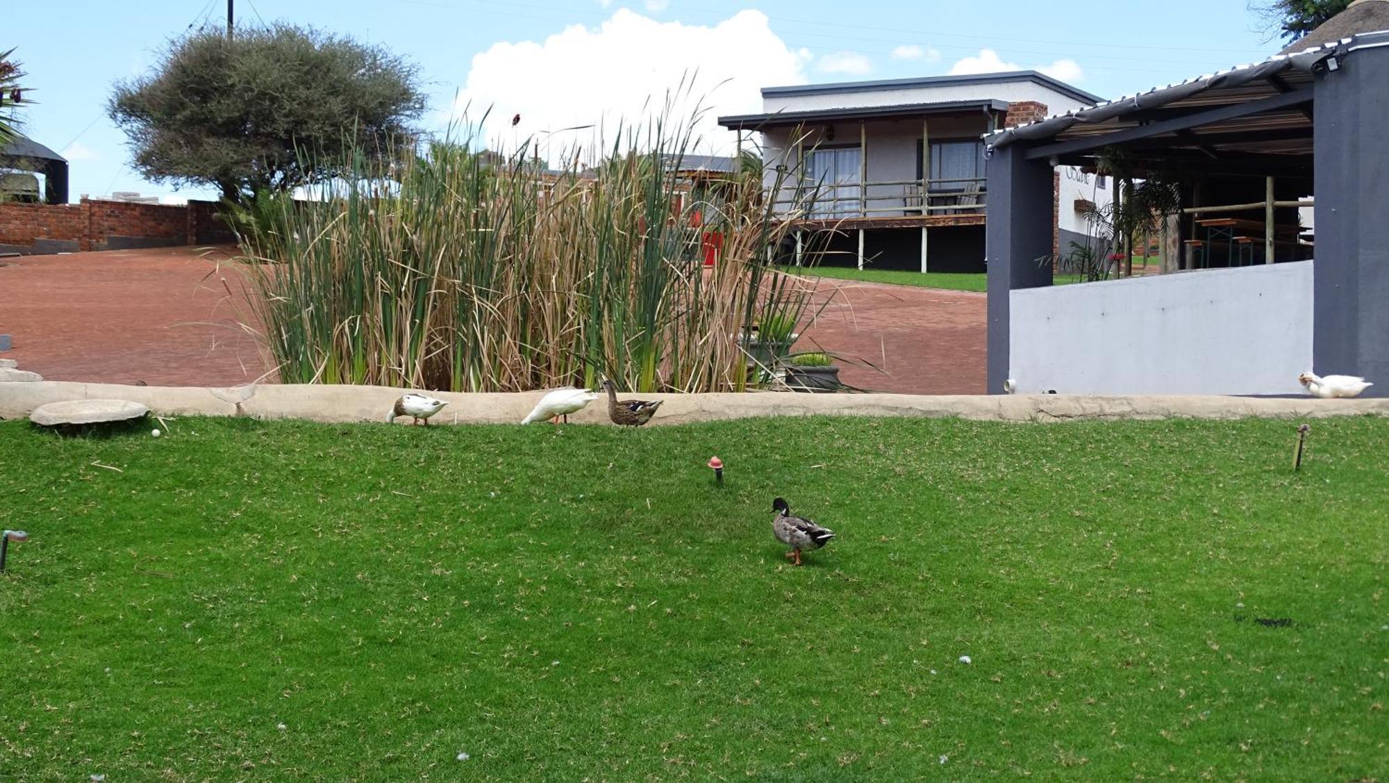 Eden Chalets Windhoek Eksteriør billede